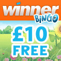Winner Bingo Winner Bingo